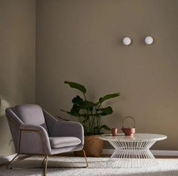 Kinkiet ASTRA chrom, Kaspa