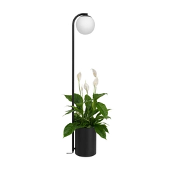 Lampa podłogowa BOTANICA DECO XL czarna, jasny dąb, 147 cm, Kaspa