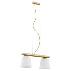 ARDEN lampa wisząca 2 pł.