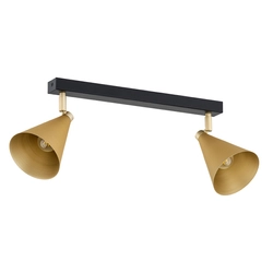 LUCINDA plafon 2 pł.