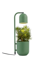 Lampka na biurko BOTANICA miętowa, Kaspa