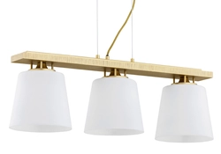 ARDEN lampa wisząca 3 pł.