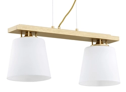 ARDEN lampa wisząca 2 pł.