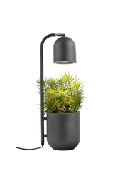Lampka na biurko BOTANICA grafitowa, Kaspa