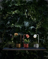 Lampka na biurko BOTANICA musztardowa, Kaspa