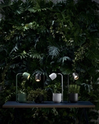 Lampka na biurko BOTANICA miętowa, Kaspa