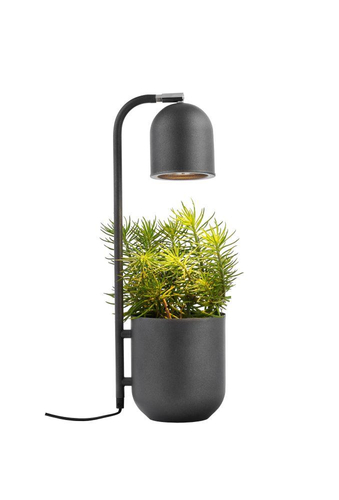 Lampka na biurko BOTANICA KASPA grafitowa
